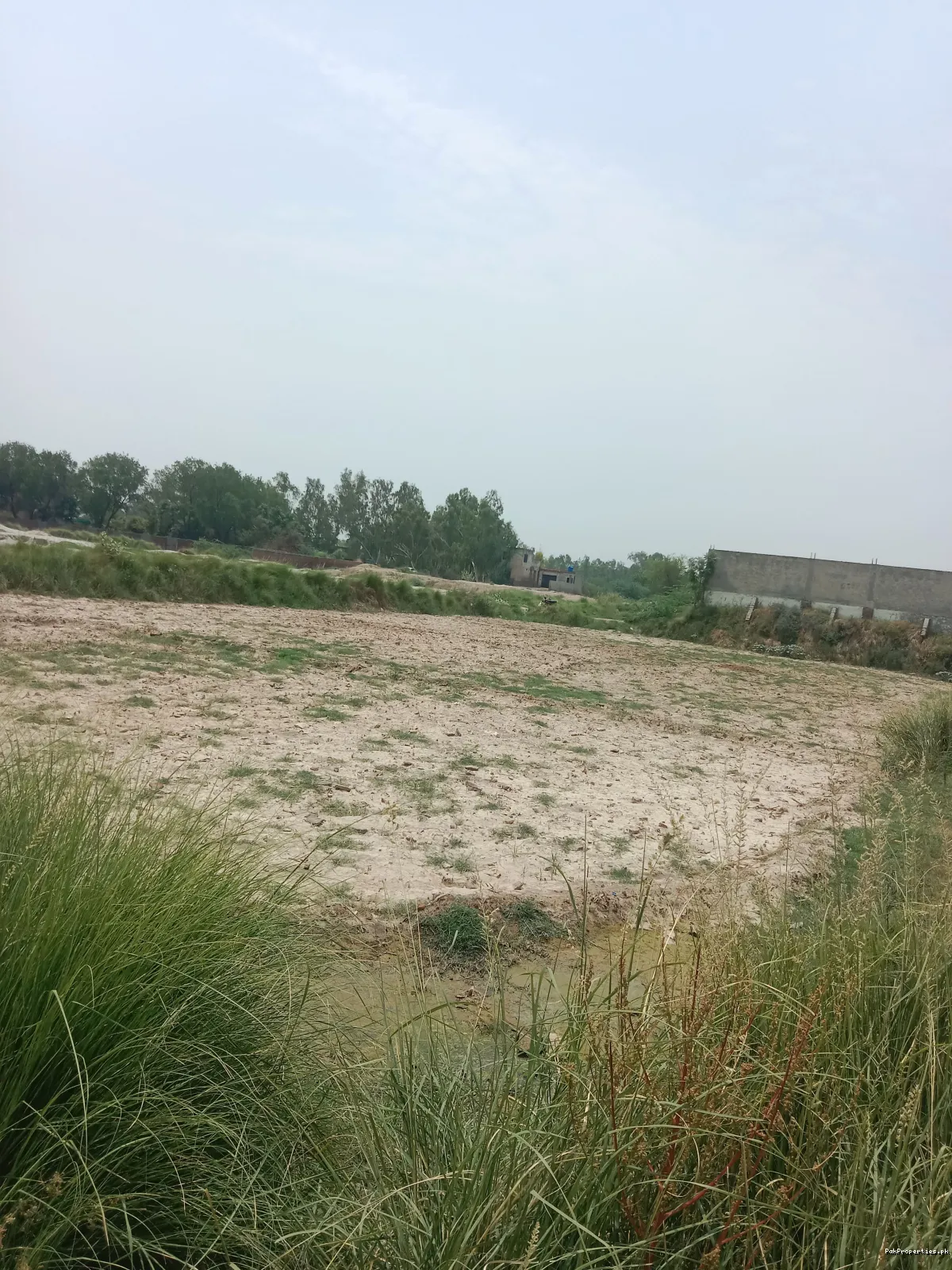 Plot on near commerce college Chunian, patooki road